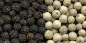Black Pepper, White Pepper