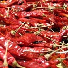 Dried Chillies