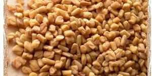 Fenugreek