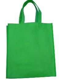 Non Woven Plastic Bag