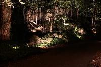 Solar Landscape Lights