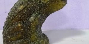 Glass Decorative Item GIN 1261