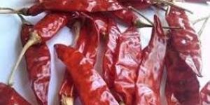 Dried Red Chilli