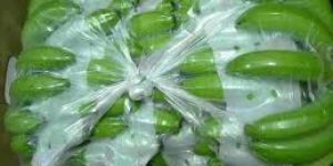 Green Cavendish Banana