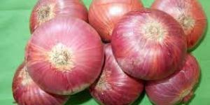 Onion