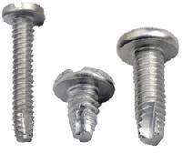 Thread Forming Screw