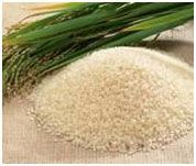 1121 White Sella Rice