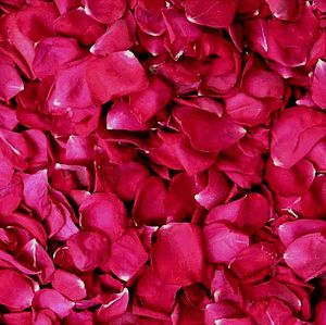 Rose Petal Powder