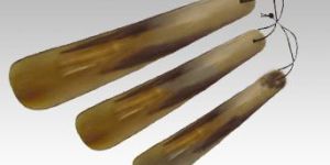 Shoe Horn