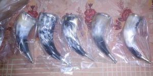 Drinking Horn