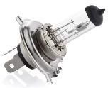 Auto Halogen Bulbs