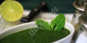 Mint Chutney