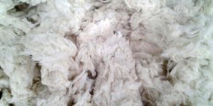 Cotton Waste