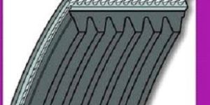 Poly V Belts