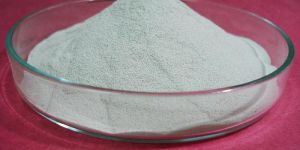 Collagen Peptide ( Hydrolysed Collagen)