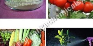 Prota-Min (ProBiol Bio Stimulant Foliar Spray)