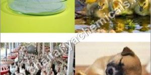 Protein Digest- Mineral Glycine Chelate Feed Supplement