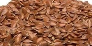 Flax Seeds
