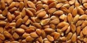 Roasted Flax Seeds