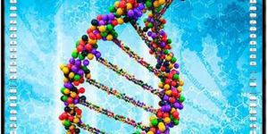 Interactive Whiteboards