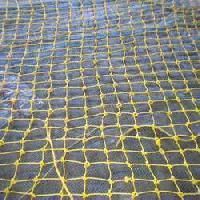 Protective Net