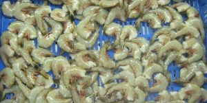 Frozen Headless White Shrimps