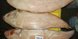 Frozen Sole Fish