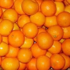 Fresh Orange