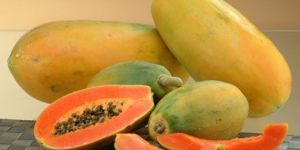 Fresh Papaya