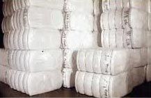Cotton Bales
