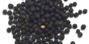 Mustard Seed Black