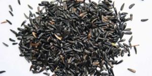 Niger Seeds