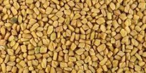 Fenugreek Seeds