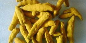 Turmeric Finger