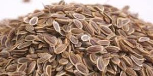 Dill Seed