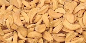 Dehydrated Garlic Flakes