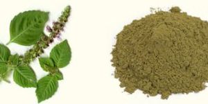 Tulsi Leaves Powder
