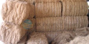 Coir Fiber