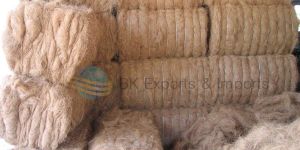Coir Fibre