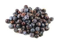 Juniper Berries