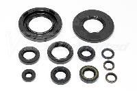 Oil Seal Kit