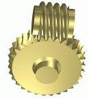 Worm Gear