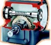 Worm Gearbox