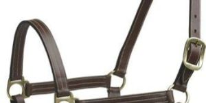 Horse Halters