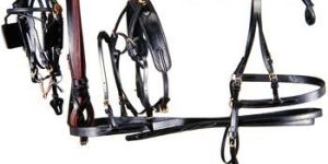 Horse Harness Set