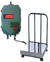 Flame Proof Platform Scale