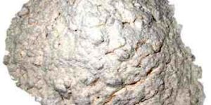 Milled Wheat Flour