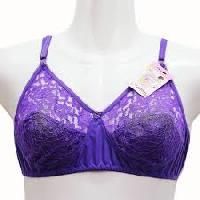 Ladies Net Bra
