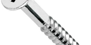 Stainless Steel Screws