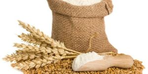 Wheat Flour